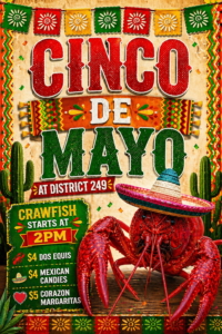 Cinco de Mayo at District 249